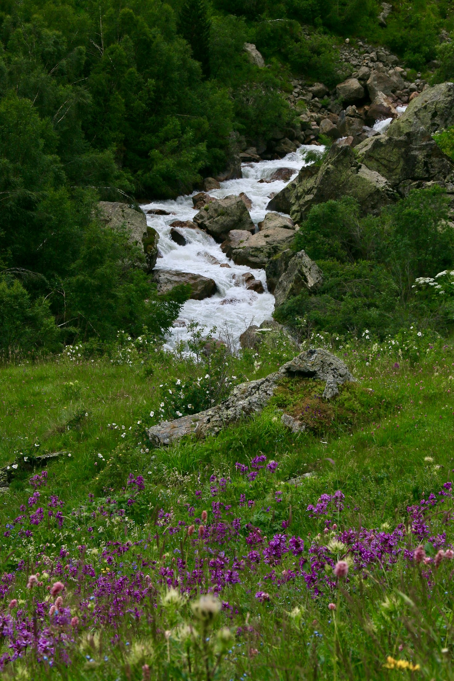 I sentieri nascosti del Monte Terminio